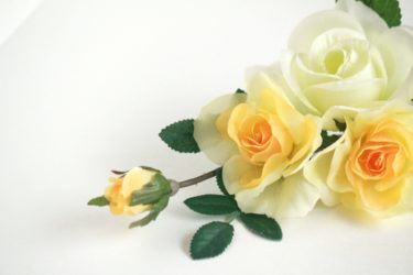 薔薇の花束の保存方法・綺麗な状態で長く保存する方法